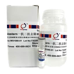 Western一抗二抗去除液（中性，劇烈型）
