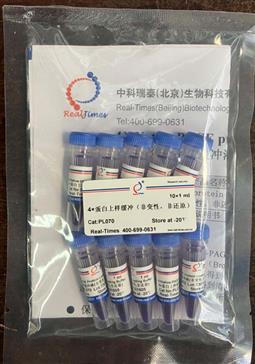 4×蛋白上樣緩沖（非變性，非還原）