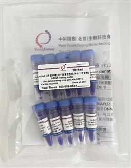 2×DNA上樣緩沖液（用于尿素變性膠，不含二甲苯菁）
